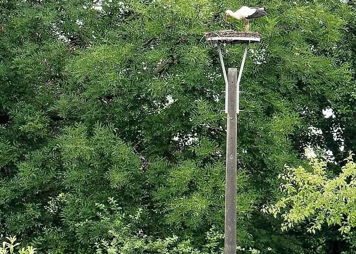 Am Gurkenradweg Сasa de vacaciones